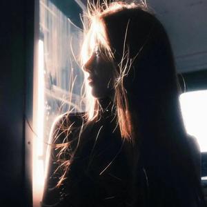 同进退(热播版)