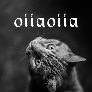 Oiiaoiia (Remix)