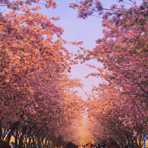 风吹过八千里_韩冬冬