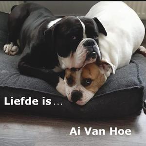 Liefde Is