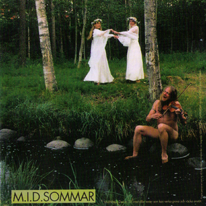 Fullt ös medvetslös