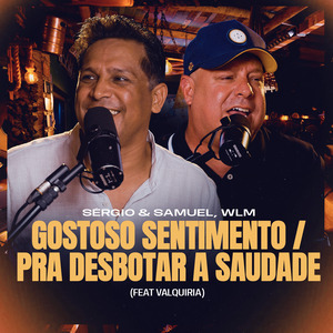 Gostoso Sentimento / Pra Desbotar a Saudade (Ao Vivo)