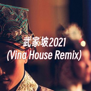 武家坡2021 (Vina House Remix)