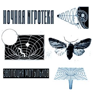 Каждую ночь