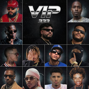 VIP 333