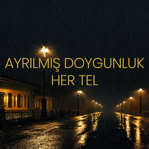 Ayrılmış-Doygunluk