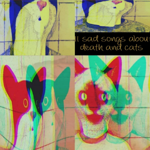 I Try Not to Think About Death and Cats… but Old Habits Die Hard