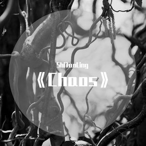 《Chaos》