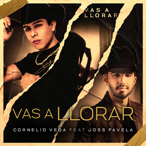 Vas a Llorar