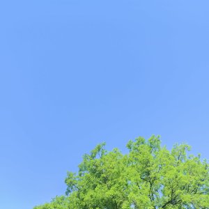 望天边