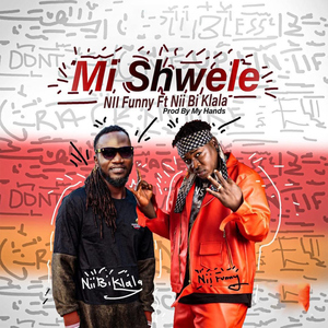 Mi Shwele (feat. Nii Bi Klala)