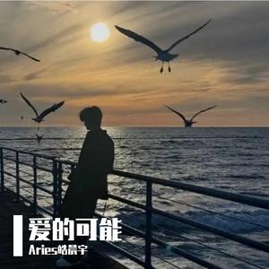 爱的可能（温柔治愈版）