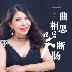 一曲相思哭断肠 (DJ名龙版)