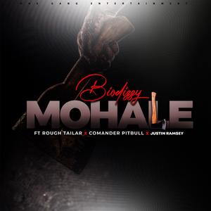 Mohale (feat. Rough Tailar, Comander p & Justin Ramsey)