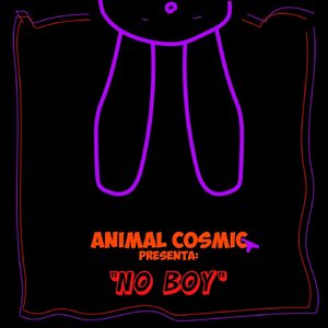 No Boy