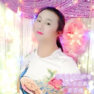 天天为你把歌唱金色音质版