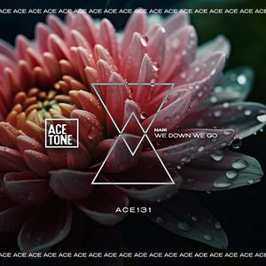 We Down We Go (Original Mix)