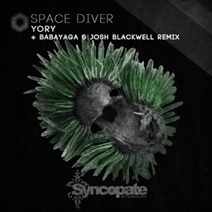 Space Diver (Original Mix)