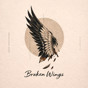 Broken Wings (Acoustic)