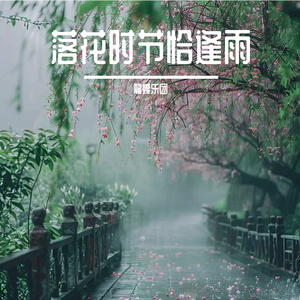 落花时节恰逢雨