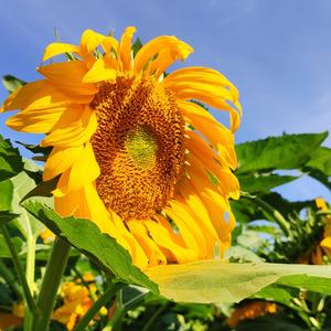 你我山巅自相逢