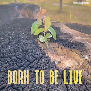 Born to be live