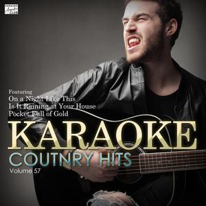 Beer Man (In the Style of Trent Willmon) [Karaoke Version]