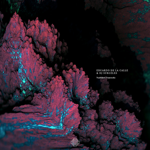 Track 1.001 (Original Mix)