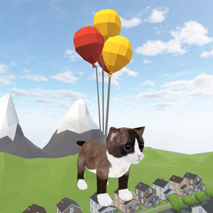 Balloon