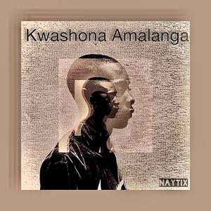 Kwashona Amalanga (feat. LeoDeVocalist)
