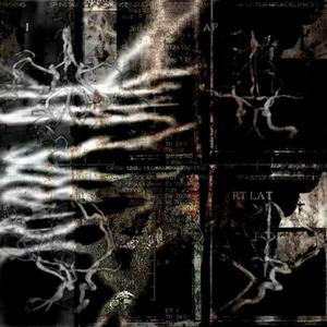 Scars (feat. joakshy)