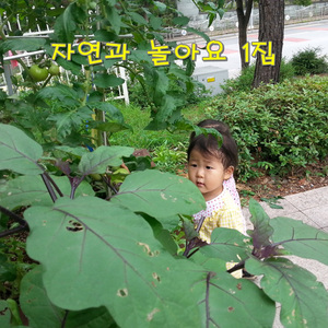 들꽃처럼산새처럼(MR)