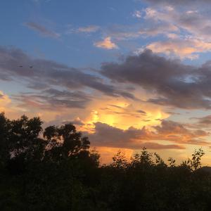 เพราะฉันไปจากเธอไม่ไหว