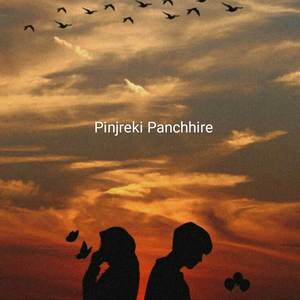 Pinjreki Panchhire