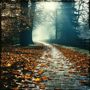 The Tower within the Northwest