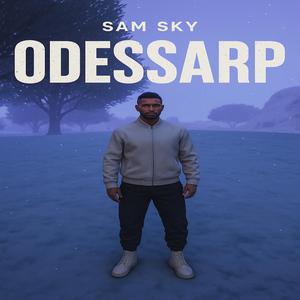 Som en Drøm blev Virkelighed – Sam & Holly