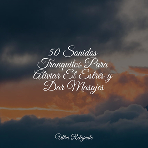 Perdido en El Zen