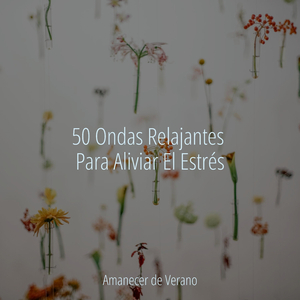 Cielos Silenciosos Sobre Mí