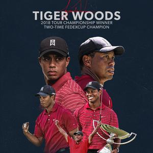 Tiger Wood