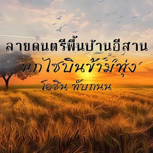 นกไซบินข้ามทุ่ง