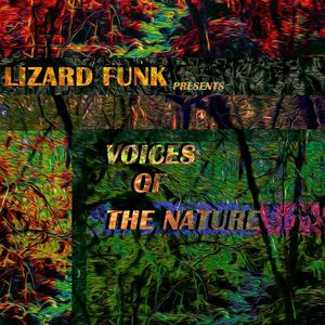 Swamp's Funk
