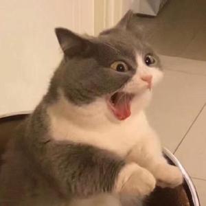 我与春风皆过客（翻自 添儿呗）