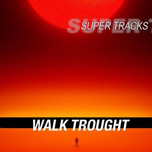 WALK TROUGHT