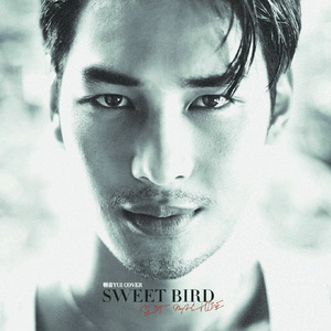 Sweet Bird 甜鸟（for Apo Nattawin）