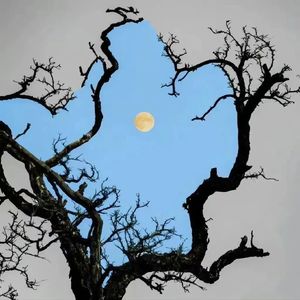 脸大又有什么办法-记忆少了我和你（脸大又有什么办法 remix）