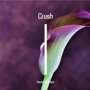 Crush 保质期