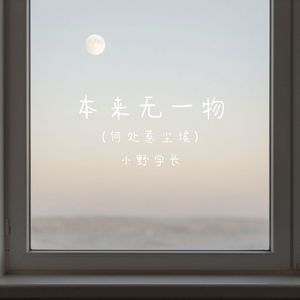 本来无一物(何处惹尘埃)