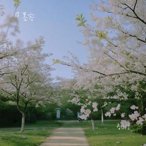 春日信