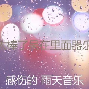 抚慰的雨回忆