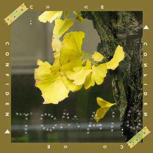 木 目 心 目 垂 觉